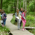 Wycieczka do Olsztyna i arboretum w Kudypach