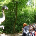 Wyjazd z klasą pierwszą do Dinoparku w Malborku