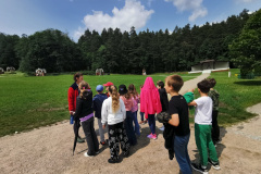 IMG_20250609_132657